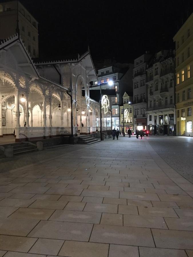 Appartement Elvira à Karlovy Vary Extérieur photo